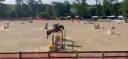 Caballo castrado Silla Franc&eacute;s En venta 2018 Alaz&aacute;n por KERBA D AUZAY