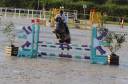 Caballo entero Silla Franc&eacute;s En venta 2022 Tordo