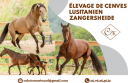 Otro - Aprendiz Tiempo completo - R&oacute;dano Francia