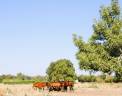 Propiedad ecuestre En venta Tarn y Garona