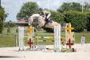 Caballo castrado Origine Constat&eacute;e En venta 2020 Tordo