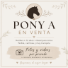 Venta pony A