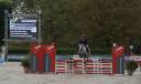 Yegua Connemara En venta 2018 Tordo