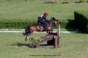 Caballo castrado PFS Poni Fran&ccedil;&eacute;s de Silla En venta 2013 Bayo moreno