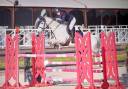 Caballo castrado PFS Poni Fran&ccedil;&eacute;s de Silla En venta 2014 Tordo