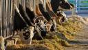 Propiedad ecuestre En venta Mancha