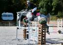 Yegua Welsh Poni (Secci&oacute;n C) En venta 2016 Tordo por Orielton top secret GBR