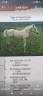 EN VENTA: EXCLUSIVO PAINT HORSE PURA RAZA&ndash;DOMA VAQUERA-