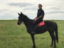 Caballo castrado AQPS Donaci&oacute;n 2006 Bayo moreno por TRIVELLINO
