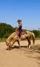 Yegua Quarter Horse &times; &Aacute;rabe palomino