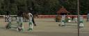 Caballo castrado KWPN Caballo de Deporte Neerland&eacute;s En venta 2018 Bayo moreno