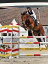 Yegua KWPN Caballo de Deporte Neerland&eacute;s En venta 2020 Bayo por Opium JW VAN DER MOERHOEVE TN