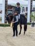 Semental PFS Poni Fran&ccedil;&eacute;s de Silla En venta 2019 Bayo moreno