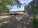 Cuadra de propietarios En venta Loira Atl&aacute;ntico