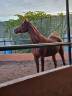 YEGUA P.R.A EN VENTA 