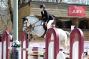 Caballo castrado PFS Poni Fran&ccedil;&eacute;s de Silla En venta 2017 Tordo