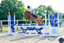 Yegua PFS Poni Fran&ccedil;&eacute;s de Silla En venta 2020 Alaz&aacute;n por Very star kerveyer
