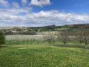 Explotaci&oacute;n agr&iacute;cola En venta Lot y Garona