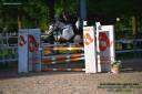 Caballo castrado PFS Poni Fran&ccedil;&eacute;s de Silla En venta 2008 Tobiano