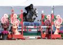 Yegua PFS Poni Fran&ccedil;&eacute;s de Silla En venta 2022 Tordo
