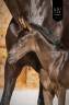 Potranca KWPN Caballo de Deporte Neerland&eacute;s En venta 2026 Negro por Perfect Silver Legend