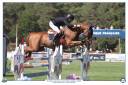 Caballo castrado Silla Franc&eacute;s En venta 2020 Alaz&aacute;n por MYLORD CARTHAGO