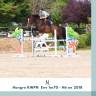 Caballo castrado KWPN Caballo de Deporte Neerland&eacute;s En venta 2018 Bayo moreno