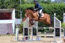 Ocasion, pony D