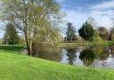 Explotaci&oacute;n hortensa En venta Eure y Loir