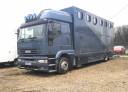 Cami&oacute;n para caballos Iveco  1997 De segunda mano