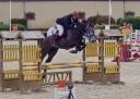 Caballo castrado Zangersheide En venta 2021 Tordo por Aganix du Seigneur