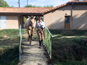 Potranca PRE Pura Raza Espa&ntilde;ola En venta 2025 Bayo por PICASSO LH