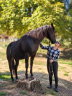 Caballo entero Quarter Horse En venta 2023 Negro