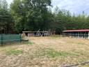 Explotaci&oacute;n agr&iacute;cola En venta Loiret