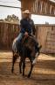Yegua Paint Horse En venta 2024 Bocifuego por FOREST DU TR