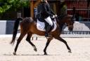 Poni b competici&oacute;n 