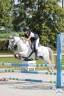 Yegua de ganader&iacute;a Welsh Poni (Secci&oacute;n B) En venta 2010 Tordo