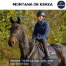 Caballo castrado Pura Sangre En venta 2022 Bayo