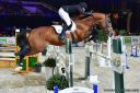 Melvis van de Paspolder - BWP Caballo de Sangre Belga 2012 por Elvis Ter Putte