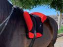 Silla Sudadero Bareback pad Dressage LP