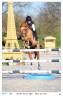 Caballo castrado PFS Poni Françés de Silla En venta 2011 Alazán por ARON N