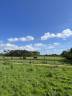 Propiedad ecuestre En venta Vendée