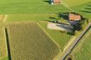 Granja ecuestre En venta Friburgo