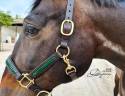 Patent leather halter Lazypony
