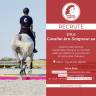 Jinete, Salto - Contrato fijo Tiempo completo - Vosgos Francia
