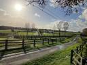 Explotación agrícola En venta Mayenne