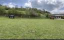 Propiedad ecuestre En venta Yonne