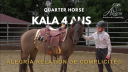 Yegua Quarter Horse En venta 2020 Grullo por JAZ GC DE PLATA