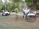 Coche enganches - Calesa Fenix Carriages  