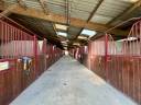 Cuadra de propietarios En venta Loira Atlántico